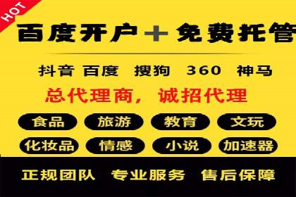 SEM优化策略：打造高效广告投放案例